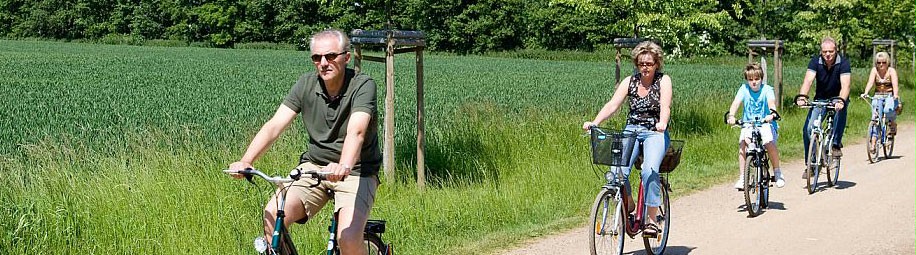 Eine Gruppe von Fahrradfahrern fährt im Sonnenschein entlang eines Getreidefeldes.